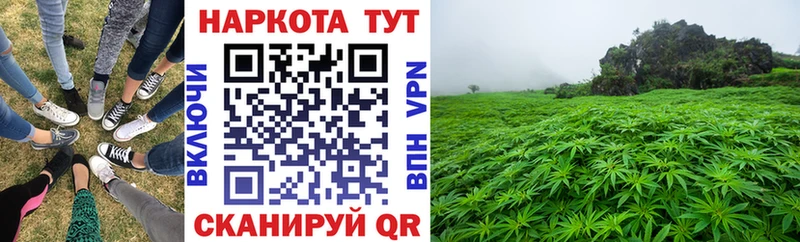 Наркошоп купить Конопля  Псилоцибиновые грибы  Мефедрон  СК  АМФ  Тихорецк