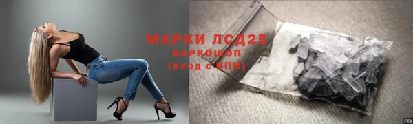 сатива Баксан