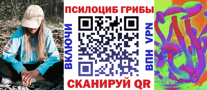 Галлюциногенные грибы MAGIC MUSHROOMS  Купить закладки  Тихорецк 
